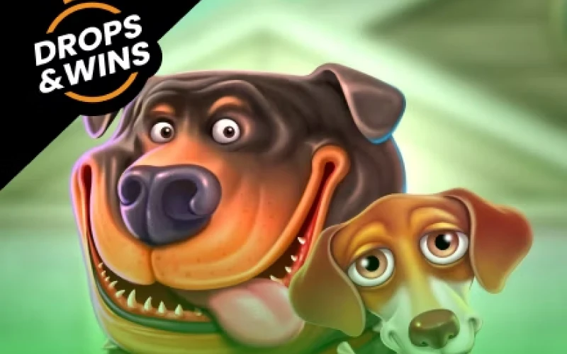 Spin the reels of The Dog House Megaways at 1win India.